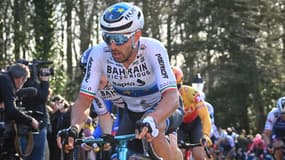 Sonny Colbrelli