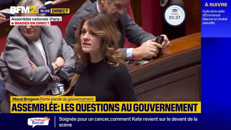 Motion de censure: Maud Bregeon dénonce l'attitude des socialistes à l'Assemblée nationale