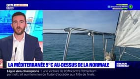 La température de la Méditerranée largement au-dessus de la normale