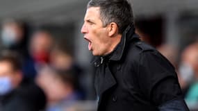 Thierry Laurey