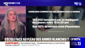 LE CHOIX D'ELSA - Comment nos voisins européennes luttent-ils contre le fléau des armes blanches à l'école?