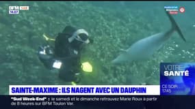 Sainte-Maxime: des plongeurs nagent avec un dauphin