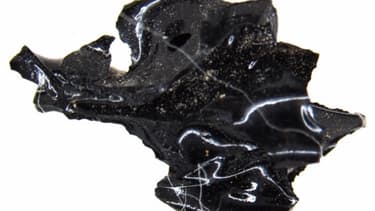 Le fragment de cerveau d'une victime de l'éruption volcanique du Vésuve il y a près de deux mille ans.