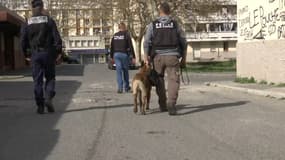 Les policiers dans la cité des Rosiers, dans le 14e arrondissement de Marseille, mercredi 20 mars 2024. 