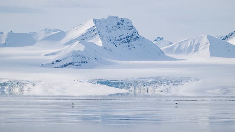 Un glacier de l'archipel du Svalbard dans l'Arctique le 3 mai 2022