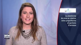 WEPETSITTY passe à l'étape supérieur