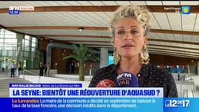 La Seyne-sur-Mer: la mairie veut réhabiliter sa piscine à l'horizon 2026