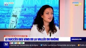 Vallée du Rhône: la filière du vin a fait face à de nombreuses crises mais les chiffres restent bons notamment en 2021