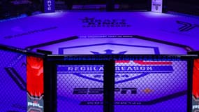 Un octogone de la ligue PFL, le 12 avril 2024 à Las Vegas