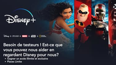 Capture d'écran du site internet créé par des escrocs