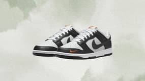 Cette paire de Nike Dunk Low profite de 30 % de remise sur le site officiel
