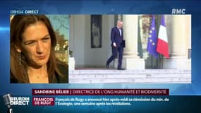 Elisabeth Borne est la 7ème ministre de l'Ecologie en 7 ans: "On a besoin de stabilité, c’est désespérant" regrette Sandrine Bélier de l’ONG “Humanité et Biodiversité”