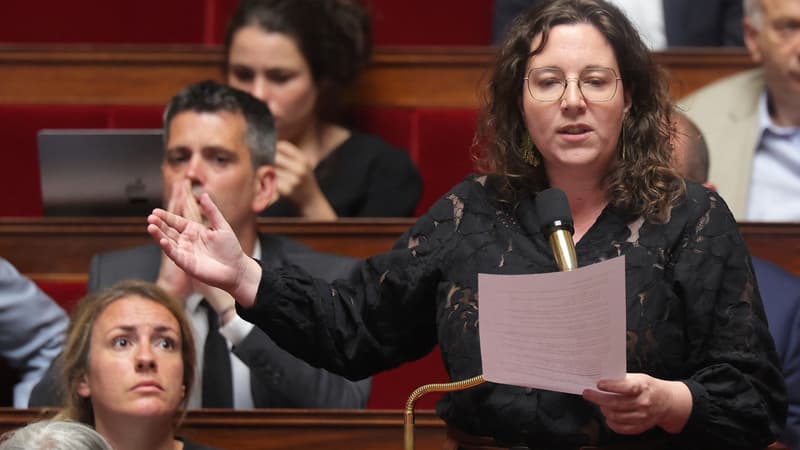 Canicule: le groupe écologiste va déposer une motion de censure contre le gouvernement