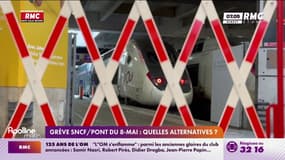 Flixbus, Trenitalia: quelles sont les alternatives que les voyageurs peuvent prendre après l'annonce des grèves SNCF ?