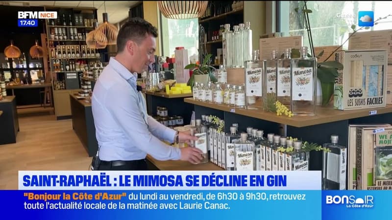 Saint-Raphaël : quand le mimosa se transforme en Gin