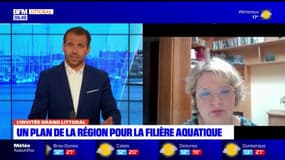 Pas-de-Calais: un plan de la région pour la filière aquatique