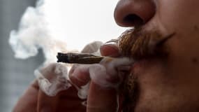 Le cannabis serait vendu dans des boutiques spécialisées, interdites aux mineurs 