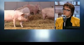 Agriculteurs en colère: Agriculteurs: "On ne redressera pas la barre si des réformes structurelles ne sont pas faites" 