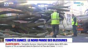 Tempête Eunice: le Nord à pied d'oeuvre pour réparer les dégâts