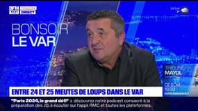 "25 meutes" de loups dans le Var: pour Laurent Faudon, président de la fédération de chasse du Var, "il faut réguler"