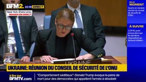 L'Ukraine confirme avoir "officiellement reçu de la part des États-Unis un projet" de plan de paix