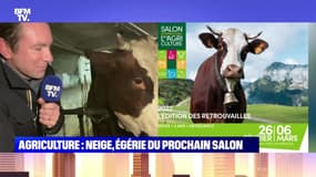 Agriculture : Neige, égérie du prochain Salon - 17/11