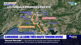 Camargue: un projet de ligne à très haute tension provoque des tensions