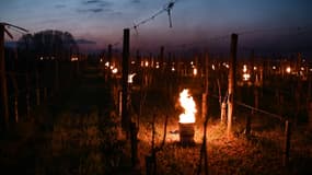 Des bougies ont été allumées dans les vignes pour lutter contre le gel, à Saint-Emilion, dans le département de la Gironde, le 4 avril 2022