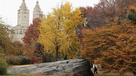 Vue de Central Park à New York. Le Conseil suprême des antiquités égyptiennes menace de reprendre l'obélisque de Central Park si la municipalité de New York ne prend pas de mesures pour le restaurer. /Photo d'archives/REUTERS/Lucas Jackson