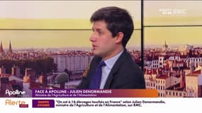Julien Denormandie: "Les élevages contaminés par l’influenza aviaire seront abattus"