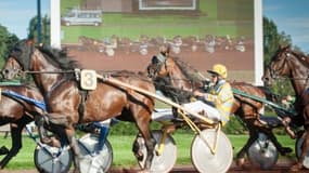 Les pronos hippiques du mardi 2 juin 2024