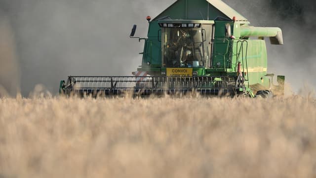 En 2016, le prix des terres et prés libres non bâtis s’établit à
6 030 euros/ha, soit une hausse de 0,4 % par rapport à l’année passée.
