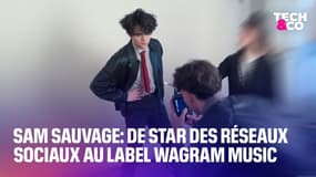 Sam Sauvage: de star des réseaux sociaux au label Wagram Music