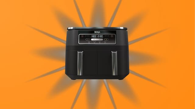 Les internautes profitent de la fin des soldes pour enfin bénéficier de ce prix rare sur cet Airfryer Ninja