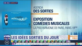 Sortir à Paris : L'exposition Comédies Musicales à la philharmonie de Paris