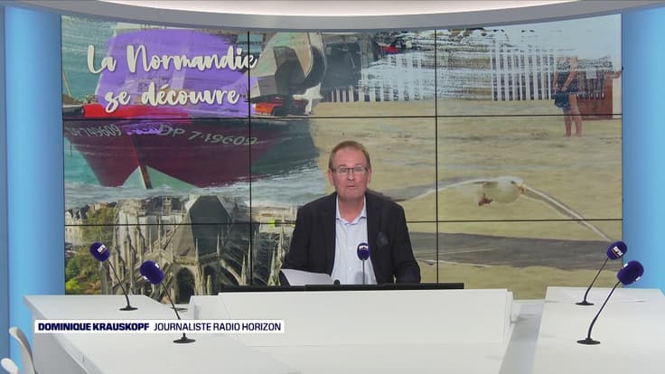 La Normandie se découvre : des lunettes en coquilles