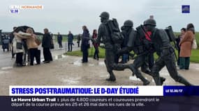 80e anniversaire du Débarquement: des études sur le stress post-traumatique du D-Day