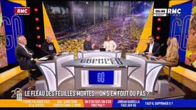 A Paris, le fléau des feuilles mortes!
