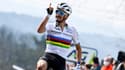 Flèche Wallonne : "On a un peu trop envie que je gagne tous les week-ends" regrette Alaphilippe