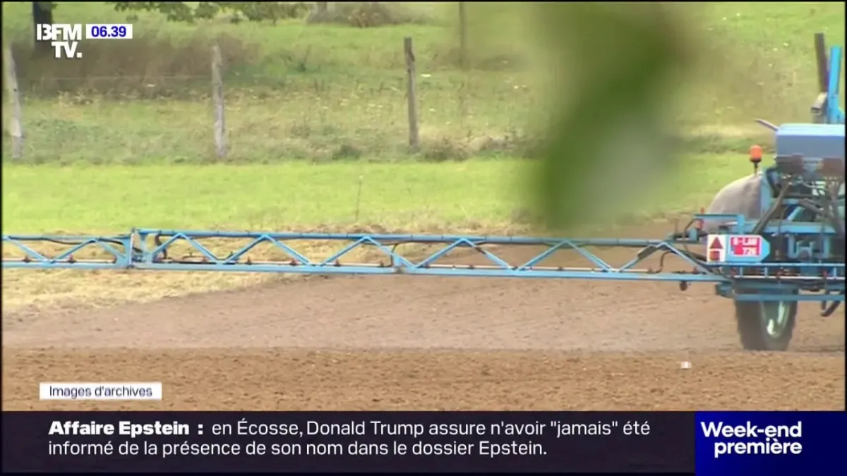 vídeo de marcador de posición