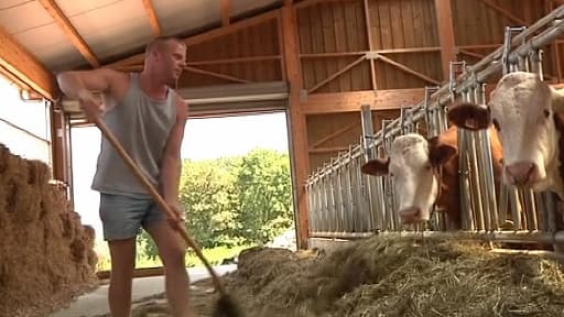 Un agriculteur remplaçant dans une ferme du Bas-Rhin, en Alsace.