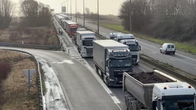 Des camions circulant sur l'A16 vers le tunnel sous la Manche et Angleterre, le 24 janvier 2024 à Marck (Pas-de-Calais)