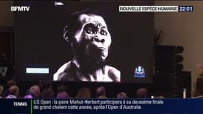 "L'Homo naledi", une nouvelle espèce humaine