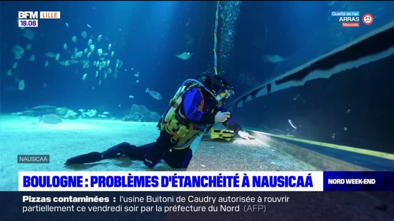Boulogne-sur-Mer: des problèmes d'étanchéité à Nausicaà, des opérations menées