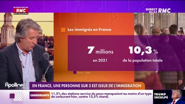 7 millions d'immigrés en France: ce que révèle la dernière étude de l'Insee