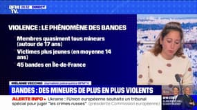 Violences en Île-de-France: le phénomène des rixes entre bandes rivales