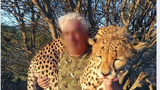 SafariFaure3flou.png