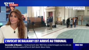 Procès Balkany: "La peine est extrêmement lourde" selon Delphine Meillet, avocate 