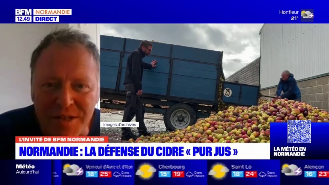 CPA NORMANDIE - LE TROUPEAU DE DINDONS