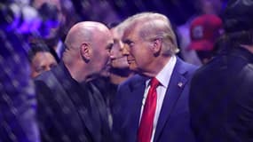 Donald Trump et Dana White